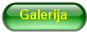 Galerija