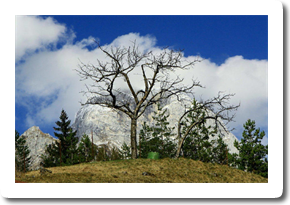 2012PredelTrdnjava0001