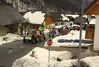 2014PustLog0031